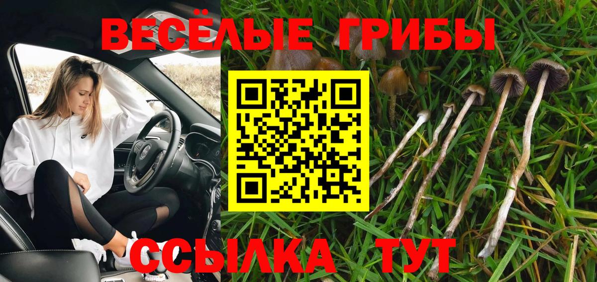 Борисоглебск  Галлюциногенные грибы мухоморы  Псилоцибиновые грибы MAGIC MUSHROOMS  Вход с VPN 