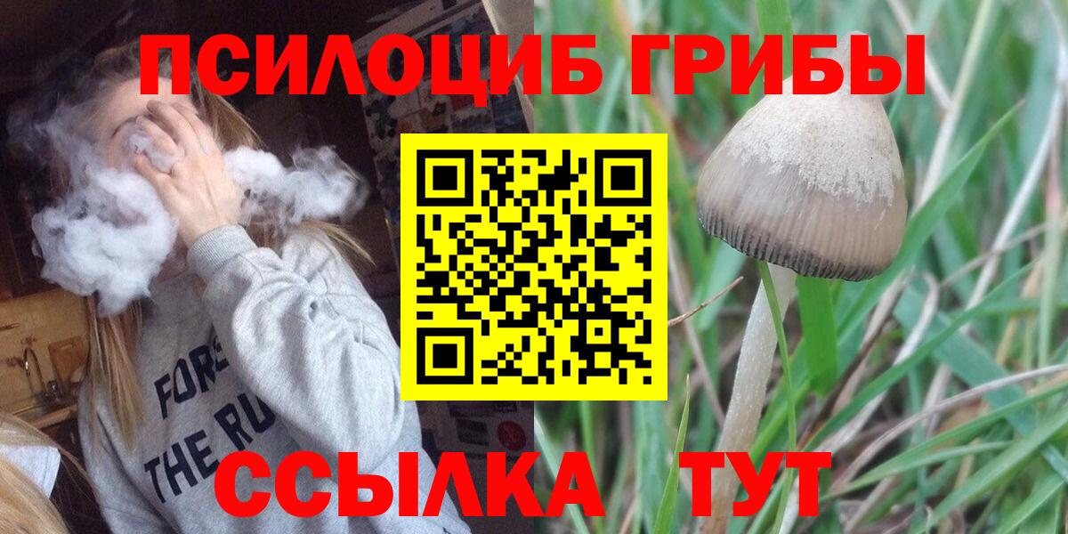 Псилоцибиновые грибы GOLDEN TEACHER Борисоглебск